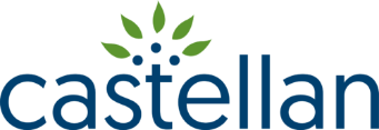 Castellan Group